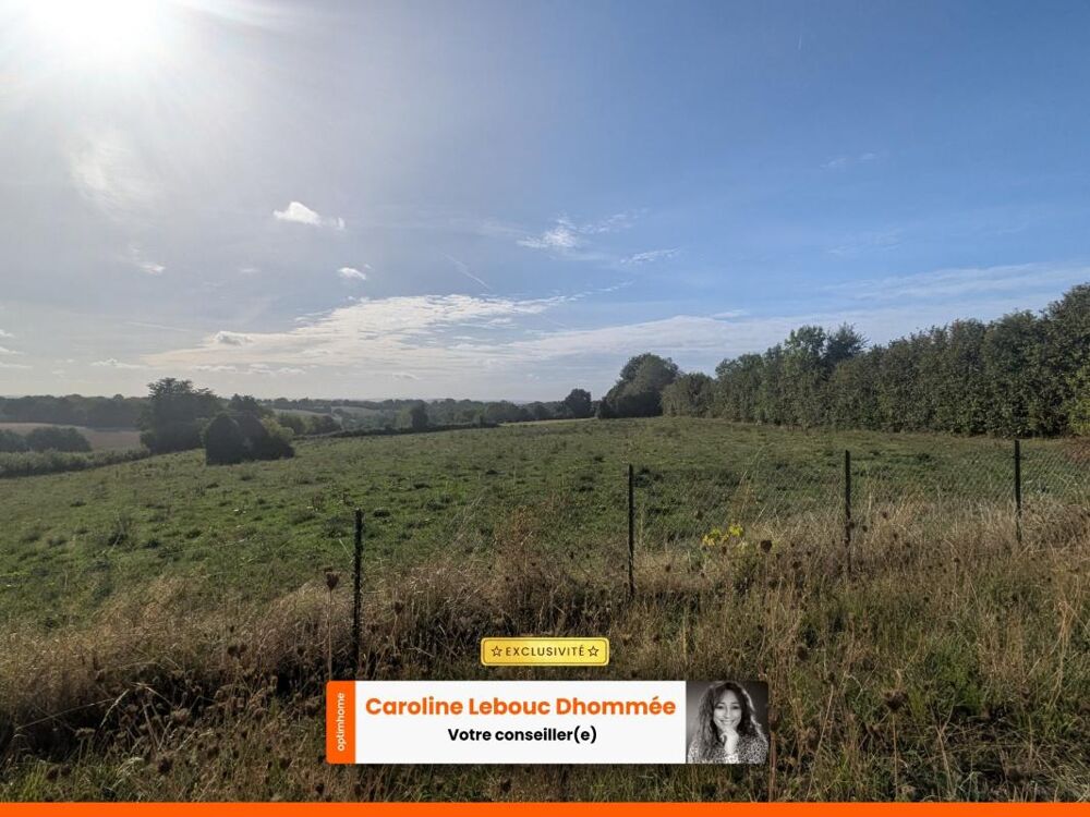 Vente Maison Pavillon sur sous-sol complet avec prairie 6 000 m² - Vue dégagée plein sud au calme absolu Saint jean de la foret