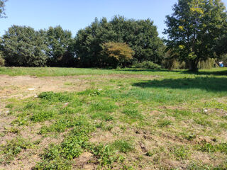  Terrain à vendre 1161 m²