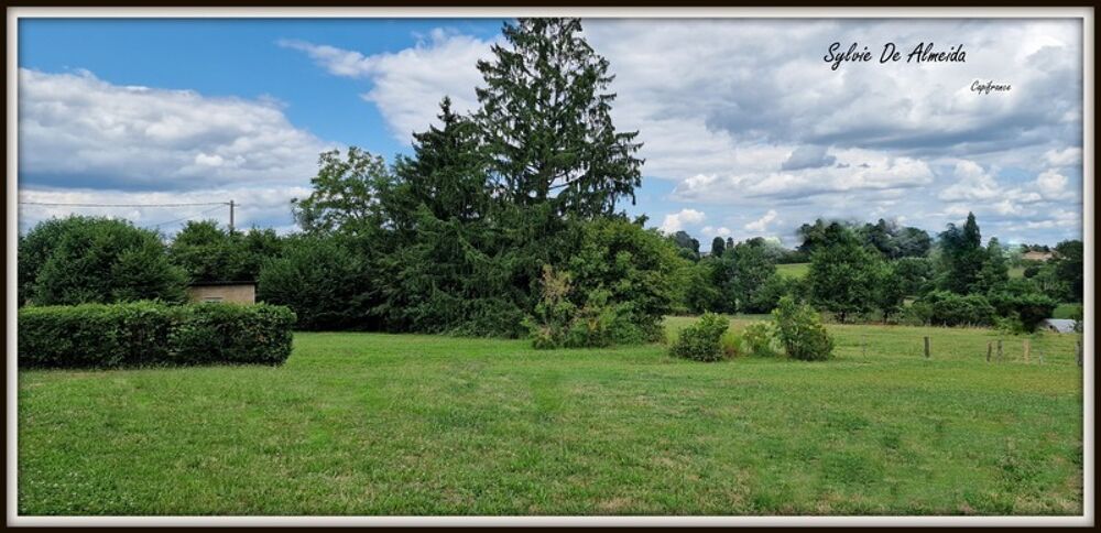Maison à vendre 8 pièces 265m² Garage 62 m² BAGE ST ANDRE (01) terrain 4500m²