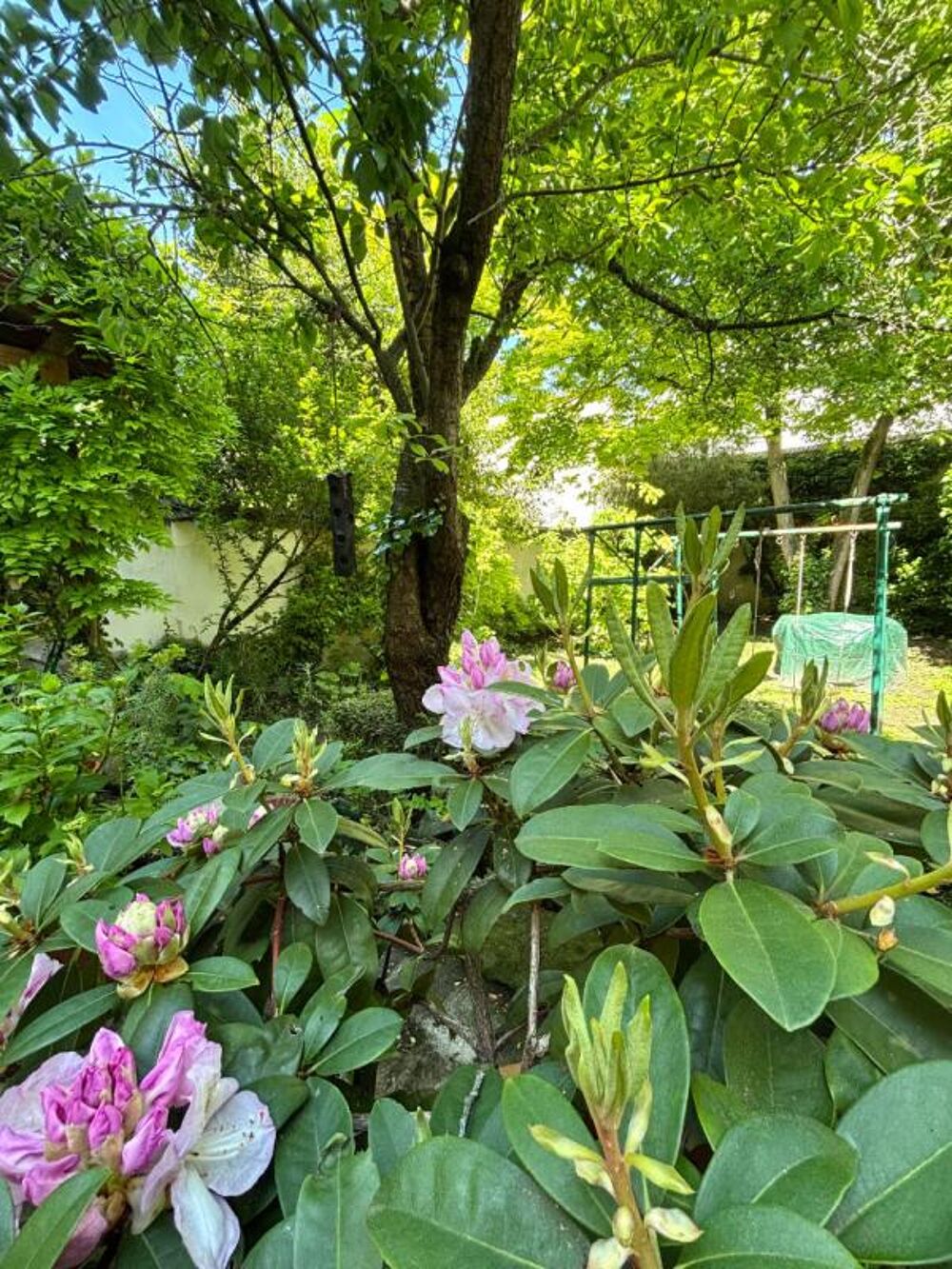 � vendre  Maison Reims (51100)