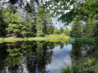  Terrain  vendre 9268 m