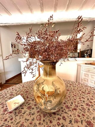  Maison � vendre 13 pi�ces 382 m�