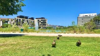  Appartement � vendre 2 pi�ces 50 m�