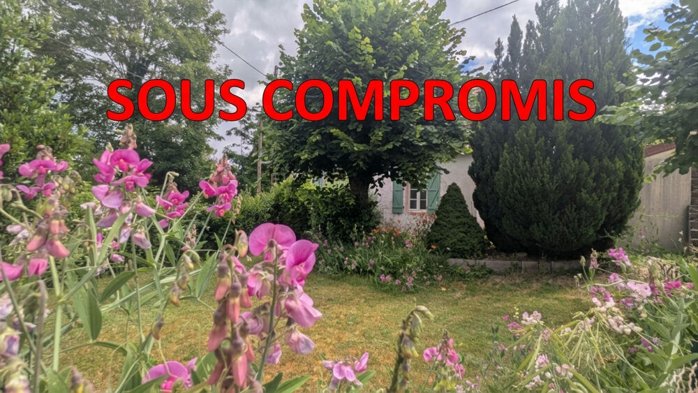 Vente Maison Sur Montaigu le blin, longère et dépendances Montaigu le blin