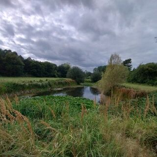  Terrain  vendre 28600 m