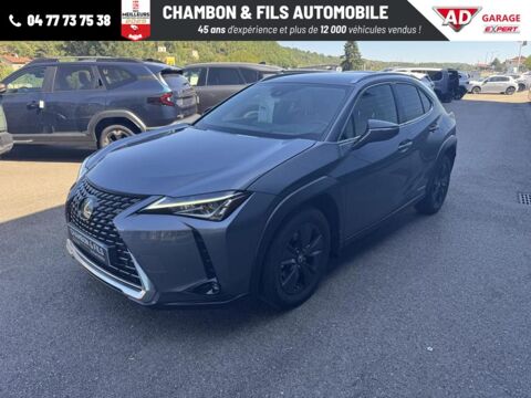 UX 250h 2WD Luxe camera + radars avants et arri&egrave;res gps 2019 occasion 42320 La Grand-Croix
