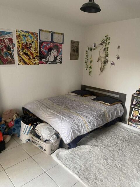  Appartement � louer 2 pi�ces 46 m�