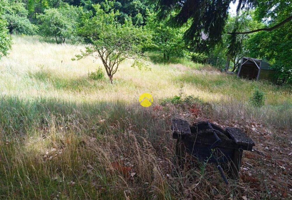Vente Terrain terrain constructible Bonny sur loire
