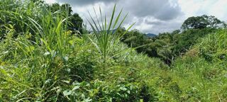  Terrain � vendre 5303 m�