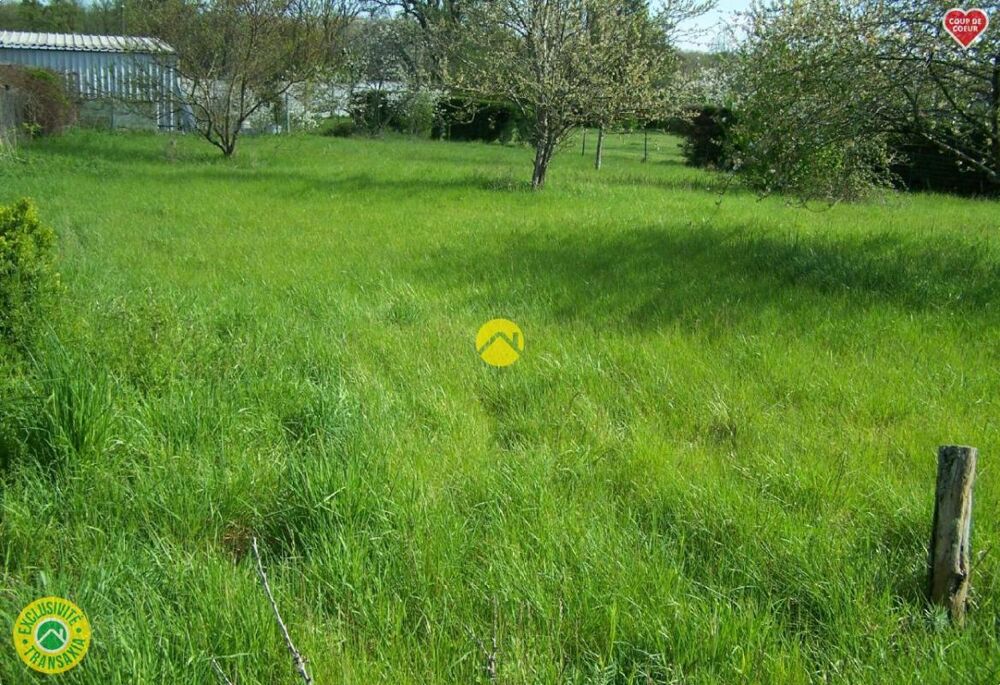 Vente Terrain TERRAIN DE LOISIRS C.U.POSITIF Saint florent sur cher