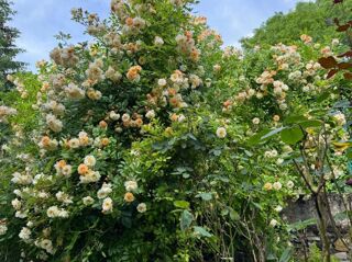  Maison � vendre 4 pi�ces 60 m�