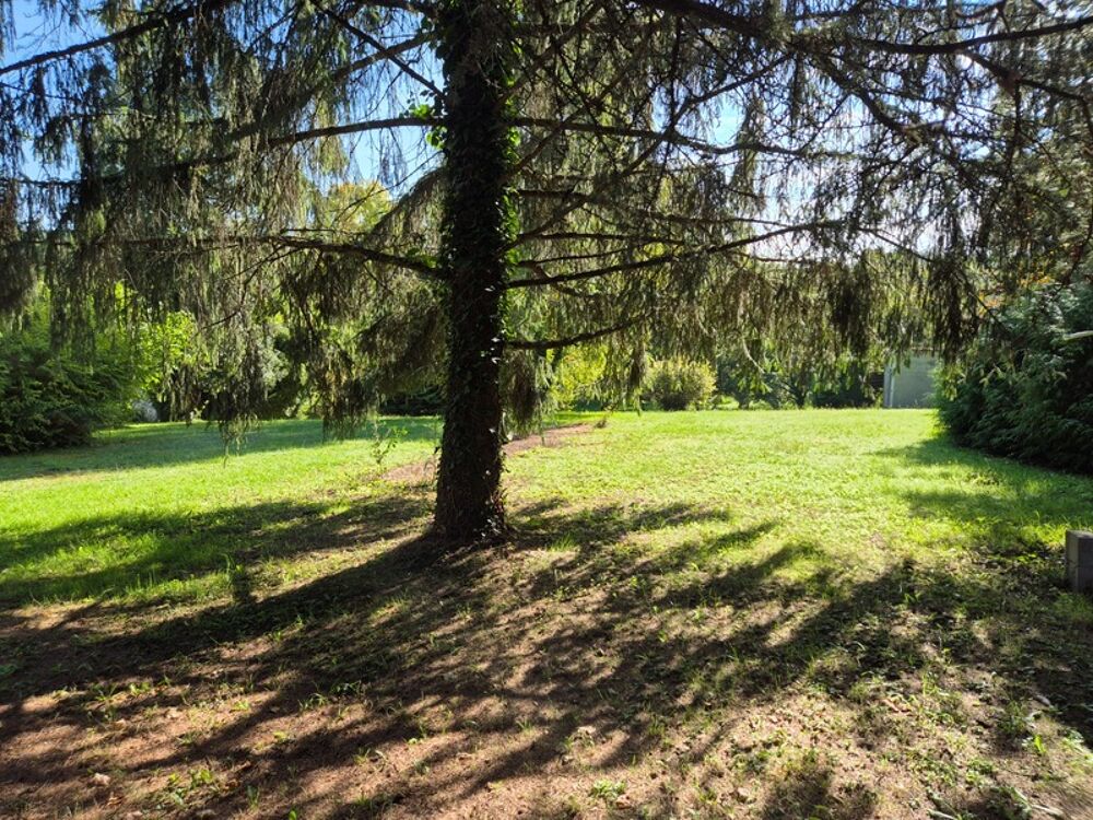 Vente Terrain Superbe emplacement, 3000 m2, secteur calme, commerces et écoles en proximité Dirac
