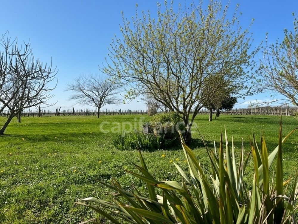 Vente Propriété/Château Domaine viticole avec activité touristique de 9,39 hectares - Vanzac (17) Vanzac