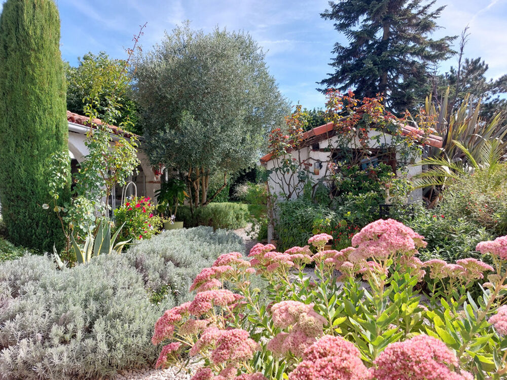 Maison à vendre 7 pièces MONTAUBAN (82) avec chambres d'hôtes, piscine, jardin et dépendance