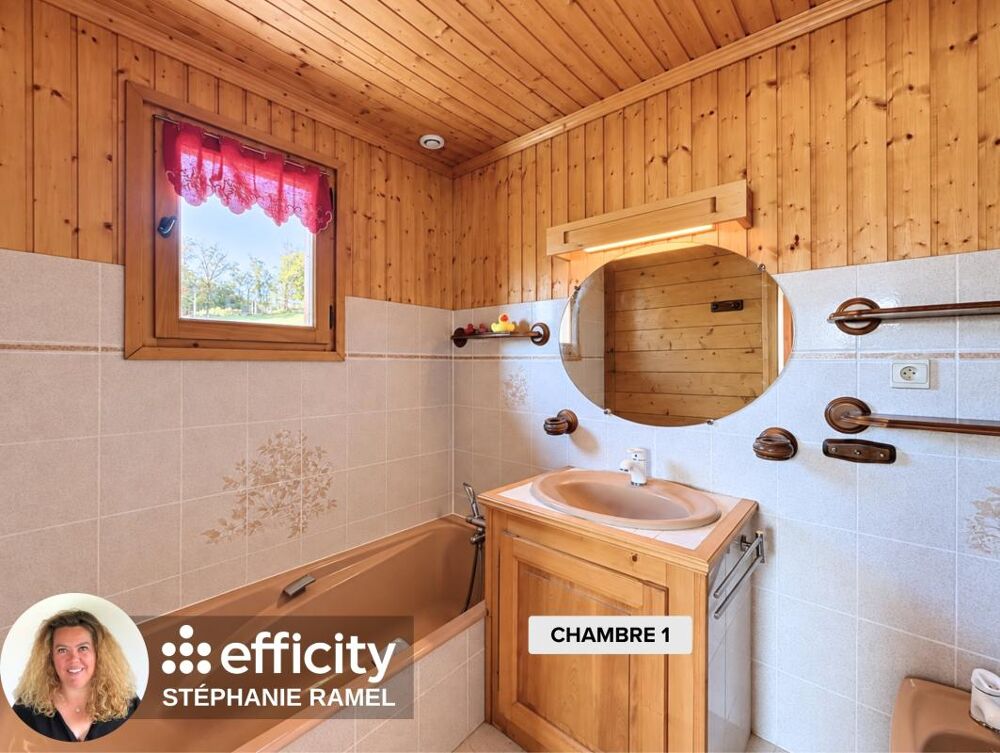 à vendre  Chalet Mieussy (74440)