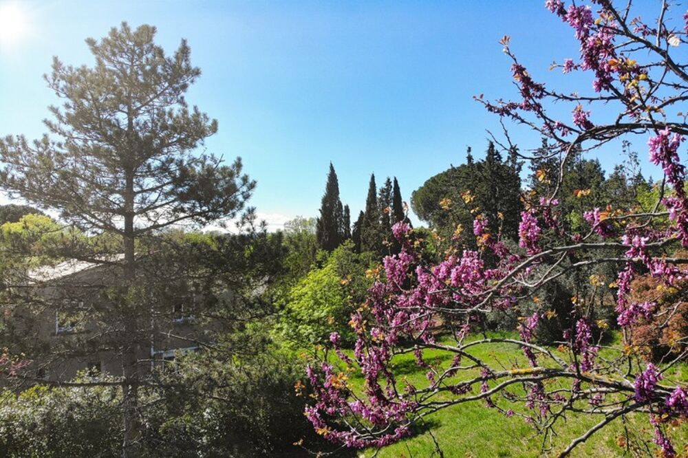 Maison familiale au coeur de la nature, potentiel unique à exploiter à 30 Min de Montpellier et Béziers