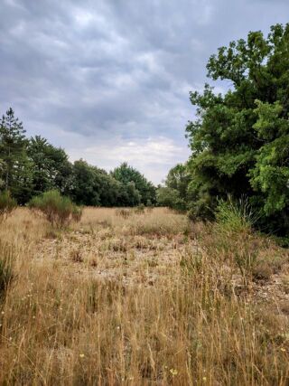  Terrain � vendre 4198 m�