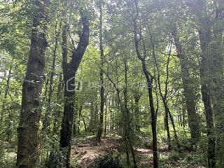  Terrain à vendre 5995 m²
