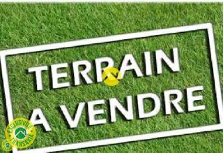  Terrain à vendre 729 m²