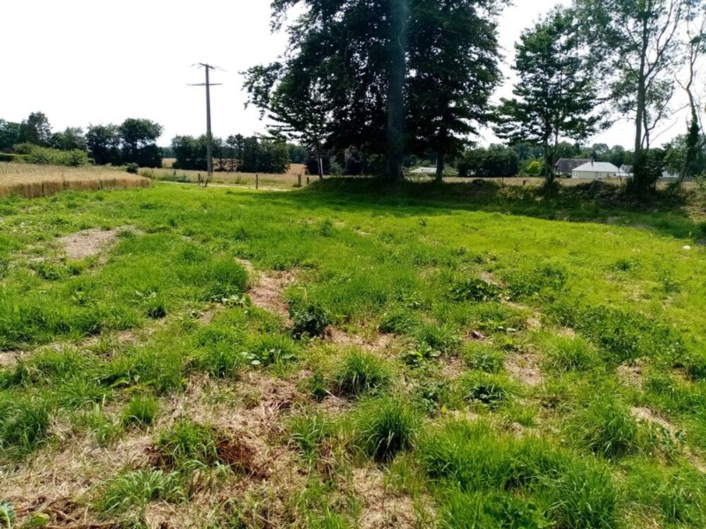 Vente Terrain Dpt Seine Maritime (76), à vendre HERICOURT EN CAUX terrain à bâtir Hericourt en caux