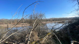  Terrain � vendre 11581 m�