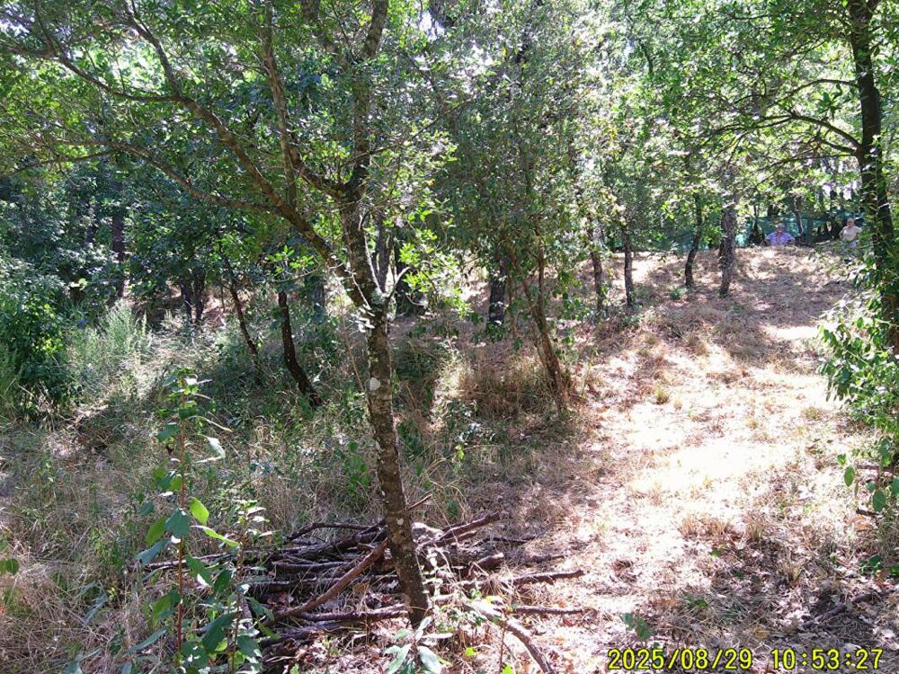Vente Terrain LES MAYONS (83) terrain à bâtir 1200 m2 zone urbaine Les mayons