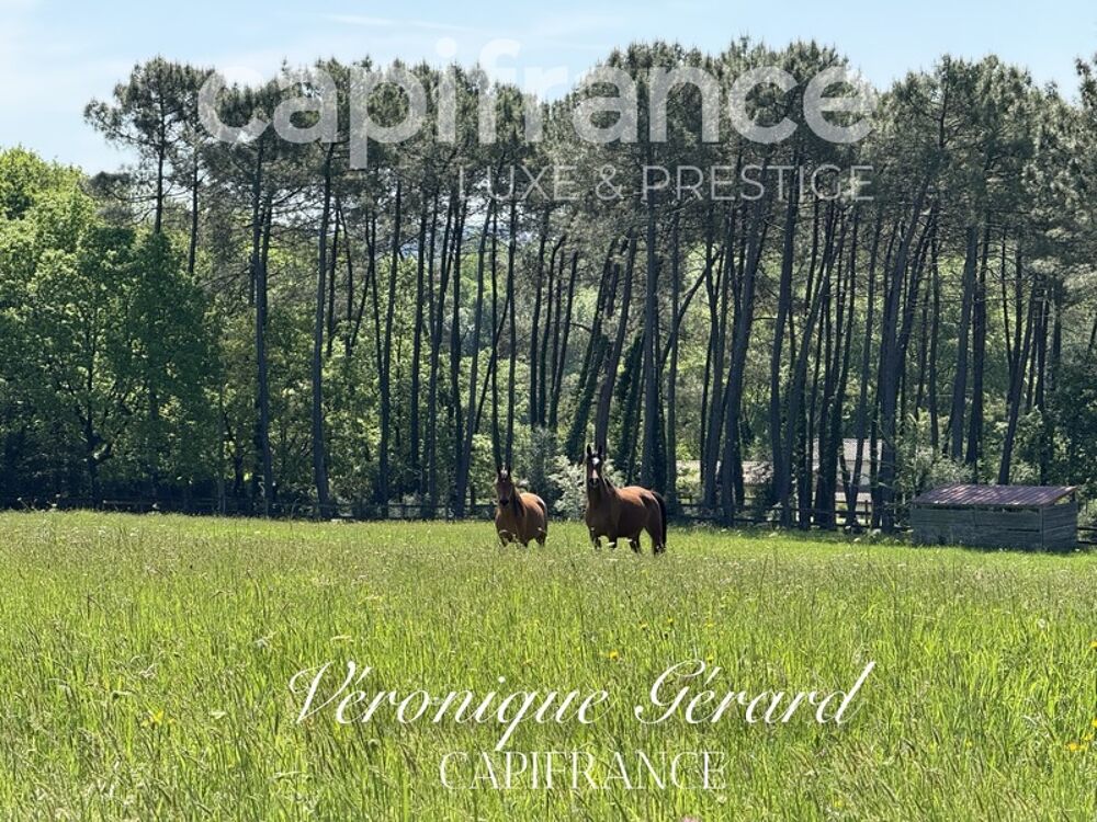  vendre  Proprit/chteau Sallebuf (33370)