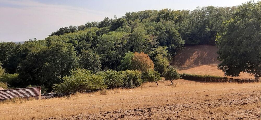 Vente Ferme FERMETTE A RÉNOVER AVEC SES DÉPENDANCES, SUR 2,7 HA DE TERRAIN DANS CADRE BUCOLIQUE La motte saint jean