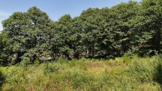  Terrain à vendre 4636 m²