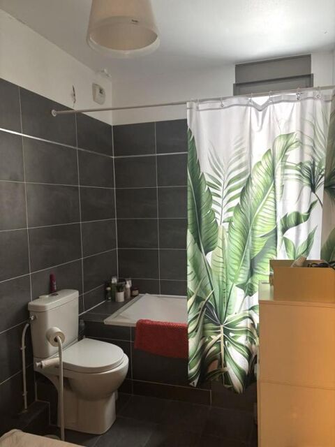  Appartement � louer 1 pi�ce 28 m�