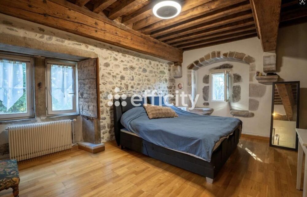 à vendre  Propriété/château Aoste (38490)