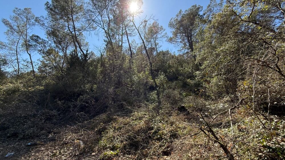 Vente Terrain Domaine forestier à Entrecasteaux Entrecasteaux