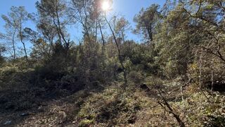  Terrain à vendre 1 pièce 
