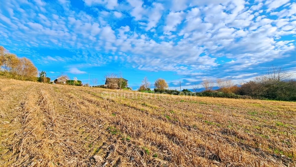 Vente Terrain Proche de SAUVETERRE DE BEARN Sauveterre de bearn