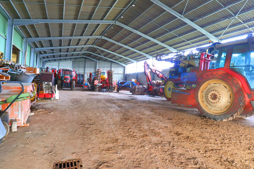 � vendre  Maison Strasbourg (67000)