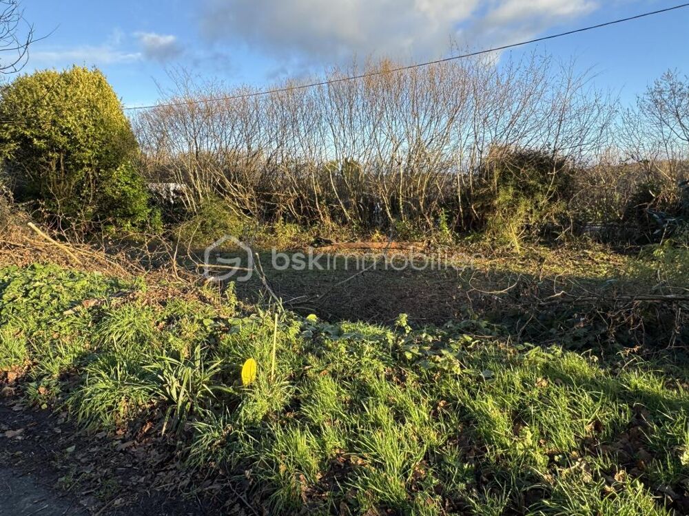 Vente Terrain TERRAIN CONSTRUCTIBLE NON VIABILISÉ DE 493M² À OCTEVILLE Cherbourg octeville