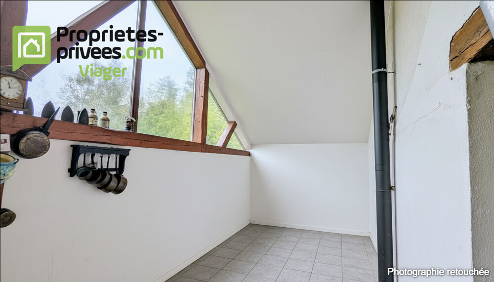 Viager occupé .Chaumont sur Loire 41