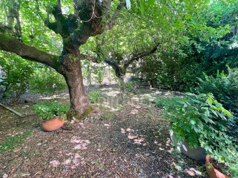 Vente Maison Maison à vendre à Digne-les-Bains – 115 m², 4 chambres, jardin arboré de 300 m², fort potentiel Digne les bains