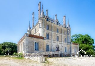  Propriété/château à vendre 15 + pièces 843 m²