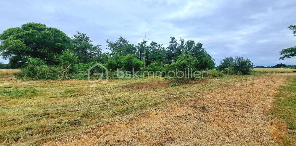 Vente Terrain Terrain constructible Peyssies