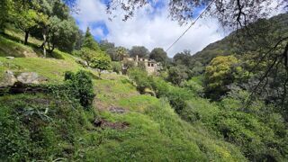  Moulin  vendre 5 pices 145 m Olmeto