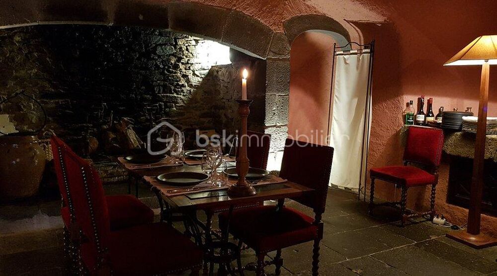  vendre  Proprit/chteau Saint-Flour (15100)
