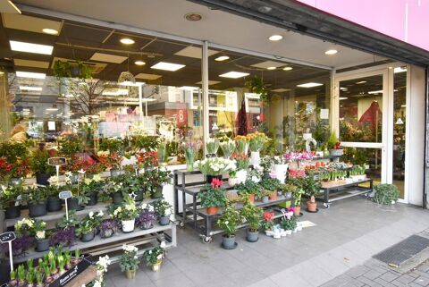   Dpt Bas-Rhin (67),  vendre STRASBOURG Sud : Magasin de Fleurs - 150 m2 - Flux voitures - Stationnement gratuit - Tram 150 m 