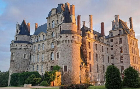   SUD ANGERS - MURS COMMERCIAUX HOTEL  450 m² 