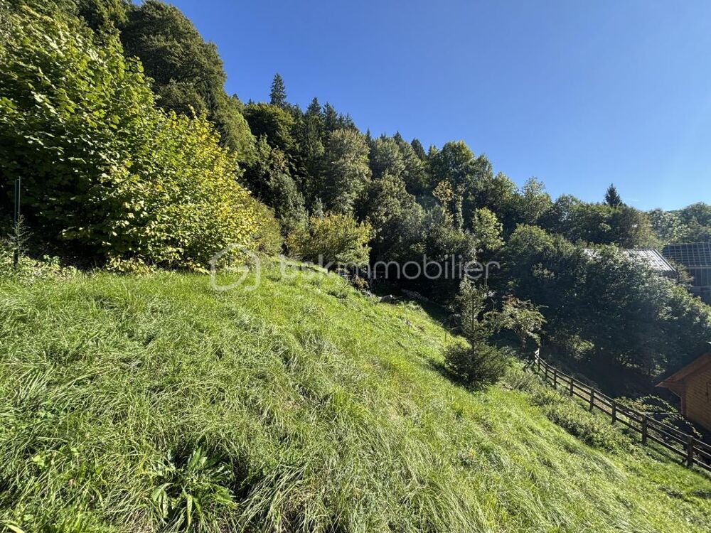 Vente Terrain Terrain de 875m² non viabilisé libre de constructeur - AILLON-LE-JEUNE Aillon le jeune