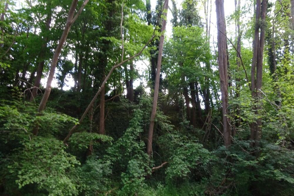 Vente Terrain Terrain à vendre de 625,00 m² Proche de COURTEMAUX (45) Courtemaux