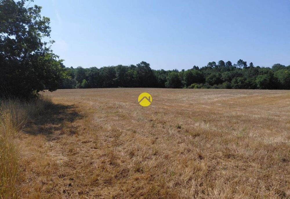 Vente Terrain BELLE Terrain agricole Saint felix de reillac et mortemar