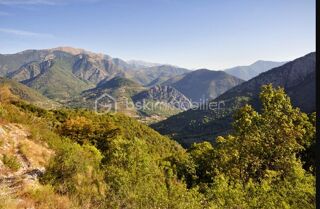  Terrain à vendre 100435 m²