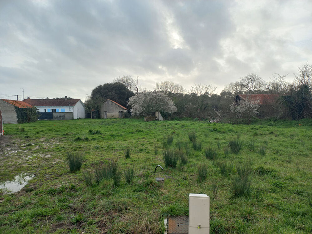 Vente Terrain Terrain 650 m2 SAINT JEAN DE MONTS Saint jean de monts