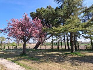  Maison  vendre 6 pices 100 m